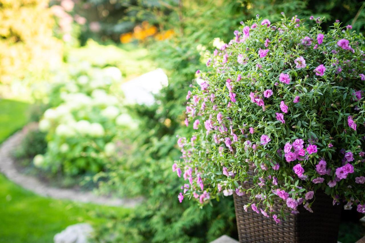 City Center Garden Camping Tallinn Exterior foto